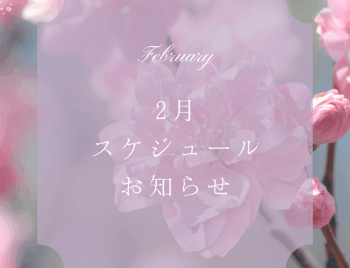 2月のレッスンスケジュールのお知らせ